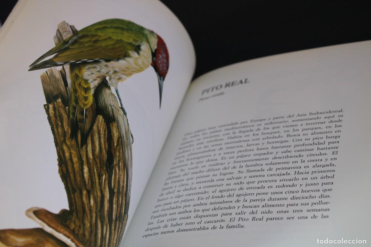 Libros de segunda mano: PAJAROS DE BOSQUE Y DE JARDIN - Foto 4