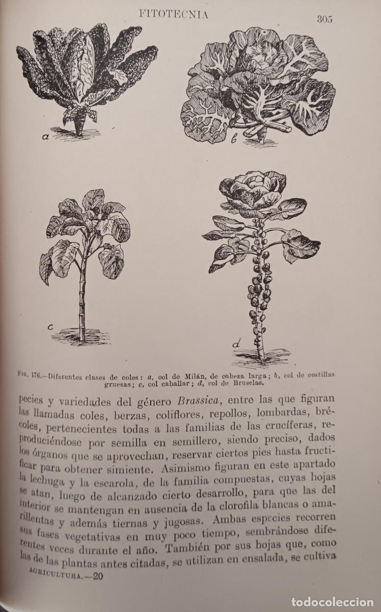 Libros de segunda mano: Agricultura y ganader&iacute;a e industrias agr&iacute;colas. - Foto 4