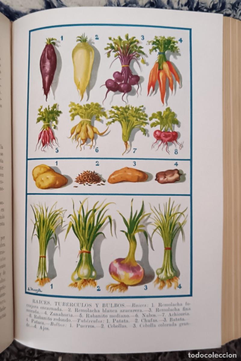 Libros de segunda mano: Agricultura y ganader&iacute;a e industrias agr&iacute;colas. - Foto 5