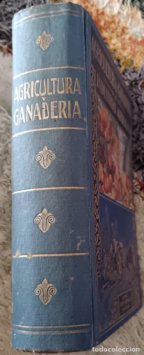 Libros de segunda mano: Agricultura y ganader&iacute;a e industrias agr&iacute;colas. - Foto 6