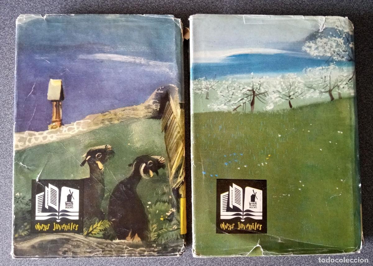 Libros de segunda mano: Lote libros Heidi Otra Vez Heidi Juana Spyri - Foto 19