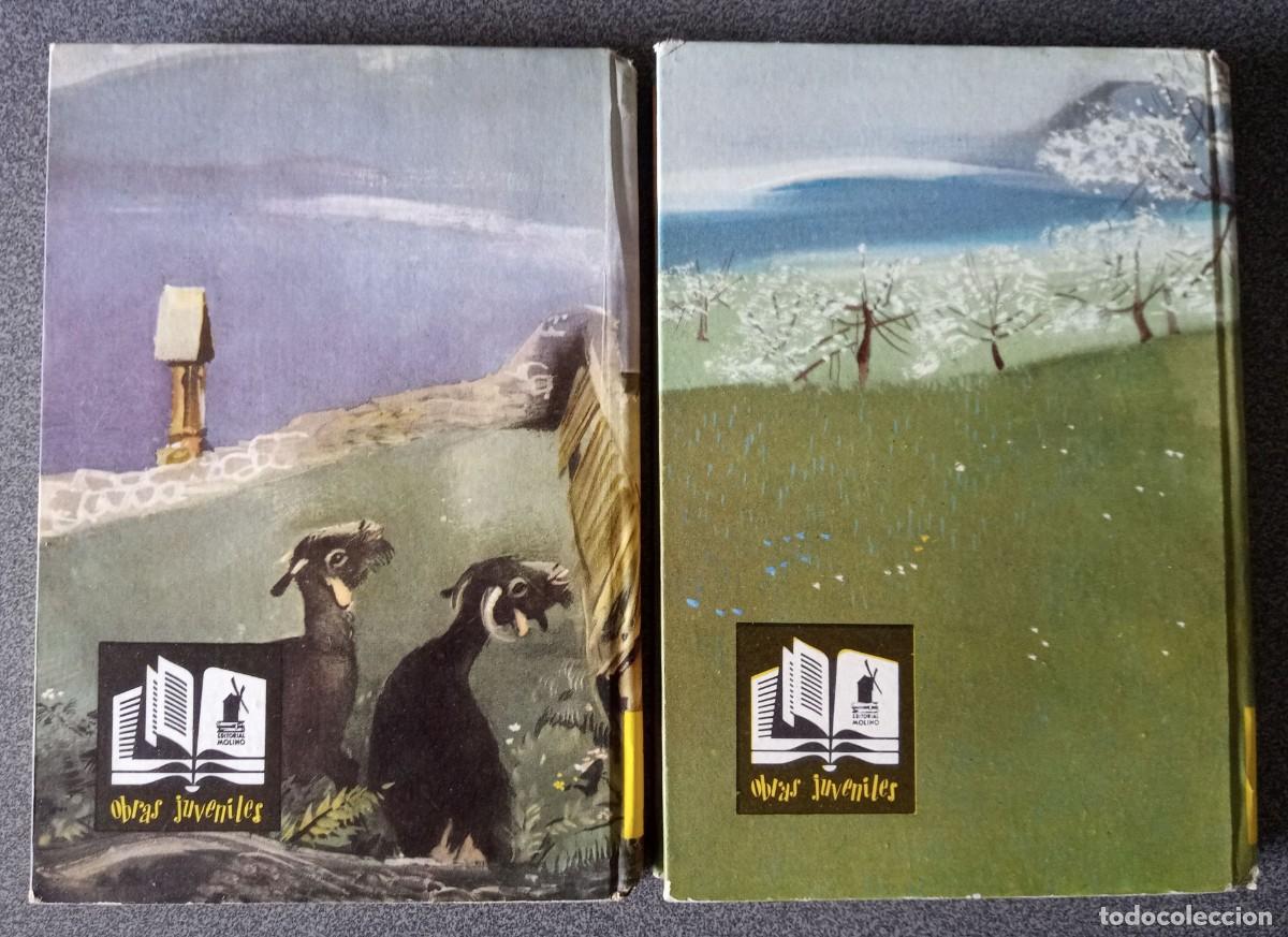 Libros de segunda mano: Lote libros Heidi Otra Vez Heidi Juana Spyri - Foto 20