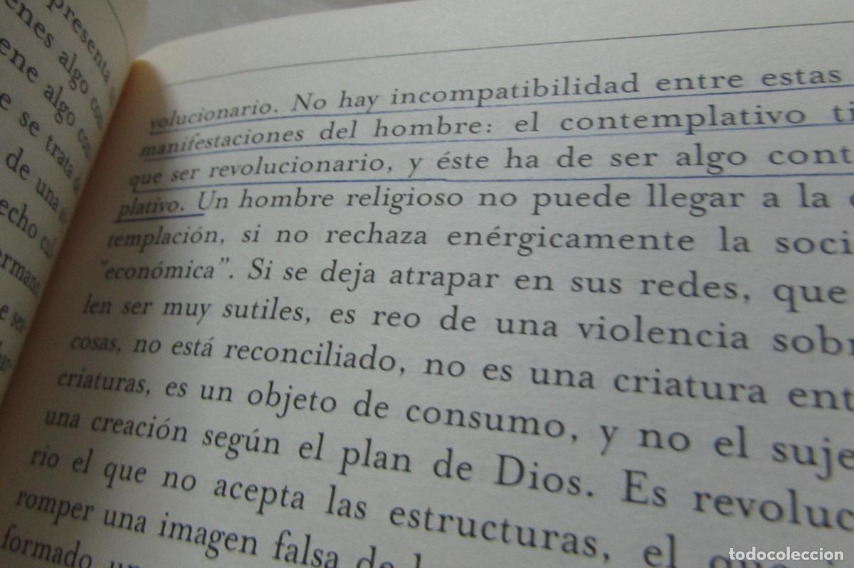 Libros de segunda mano: La ra&iacute;z del hombre Arturo Paoli - Foto 2