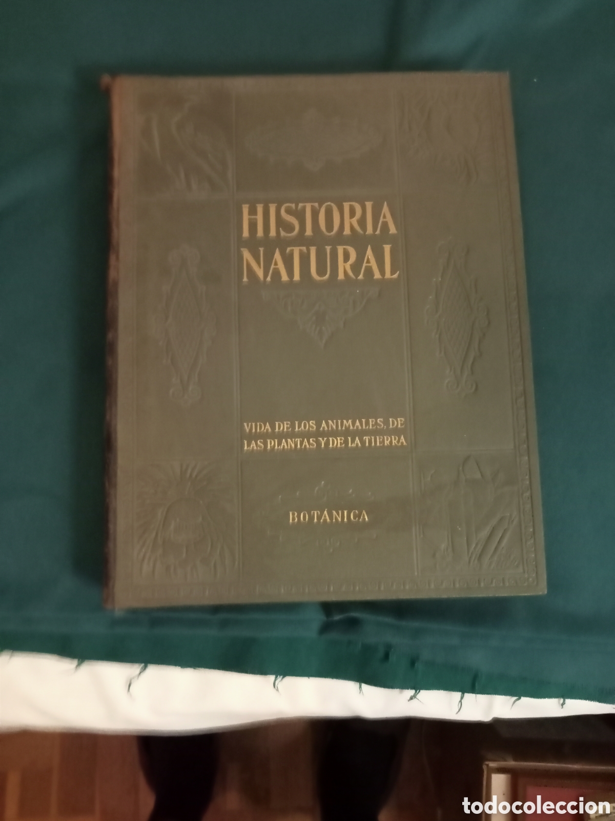 Libros de segunda mano: Instituto Gallach historia natural 1953 Zoolog&iacute;a