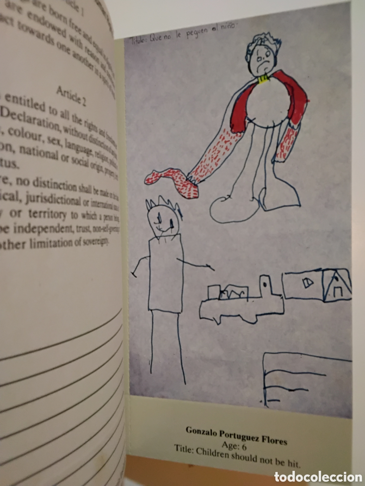 Libros de segunda mano: INSTITUTO INTERAMERICANO DE DERECHOS HUMANOS &ndash; COMMEMORATIVE EDITION &ndash; 1988 - Foto 3
