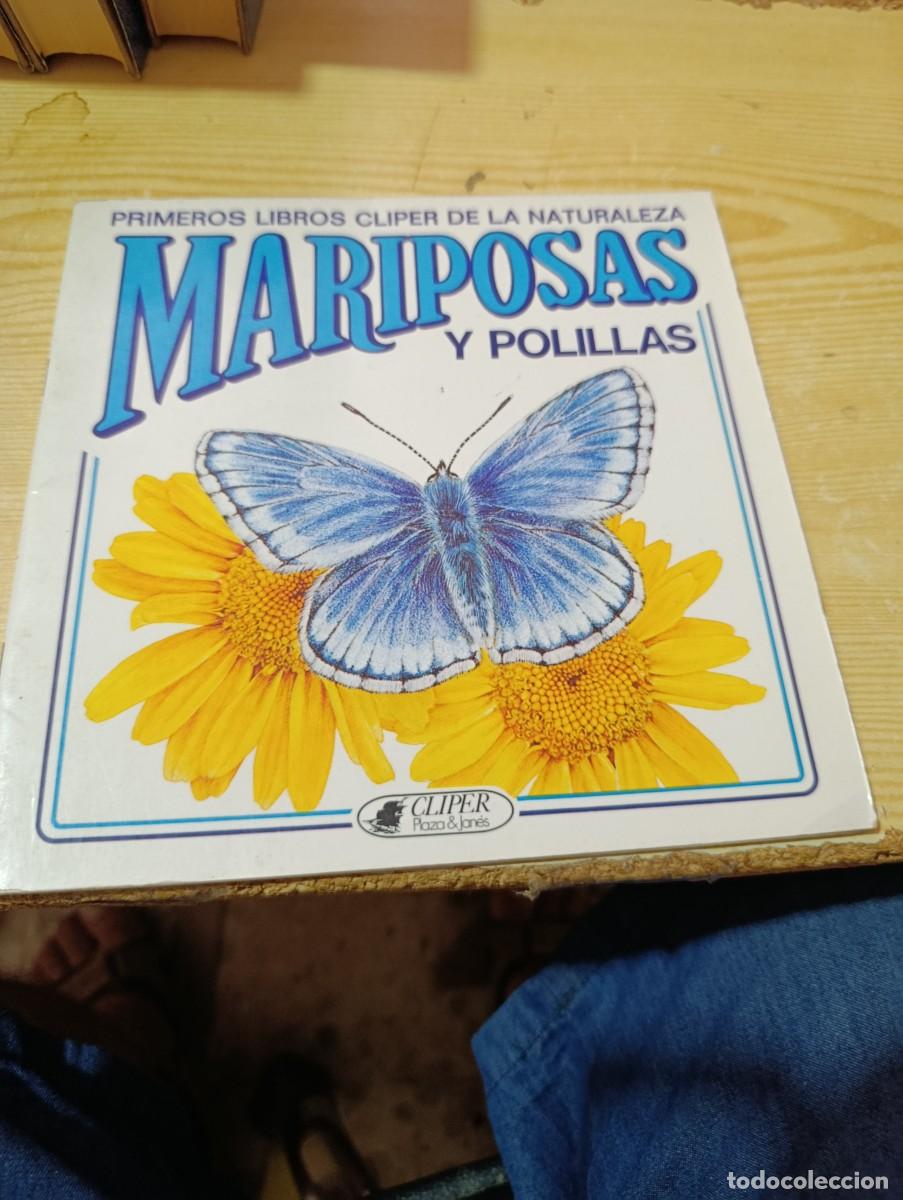Libri di seconda mano: PRIMEROS LIBROS CLIPER DE LA NATURALEZA. MARIPOSAS Y POLILLAS. EST32B2