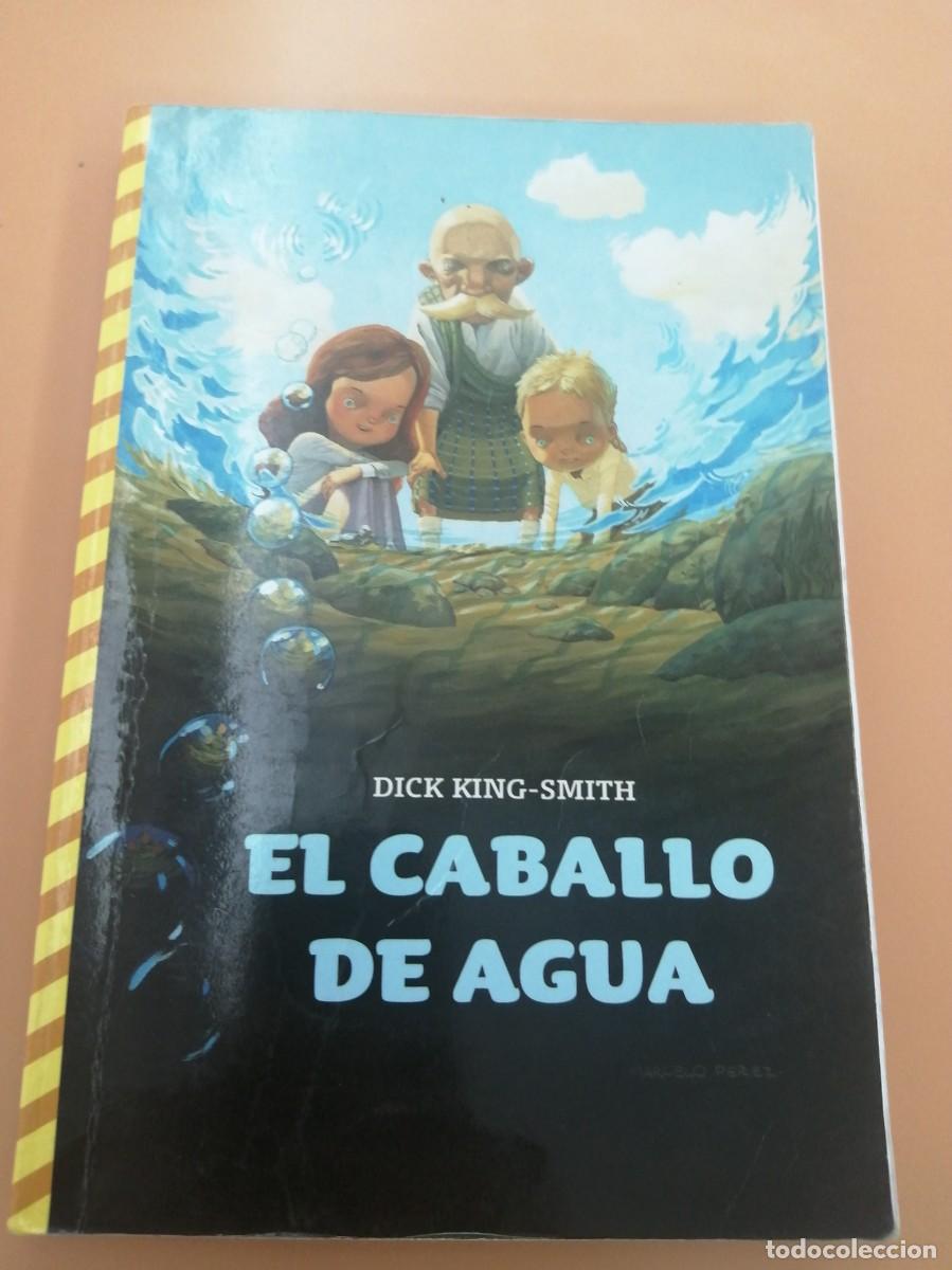 Libros de segunda mano: EL CABALLO DE AGUA, DICK KING-SMITH, SM