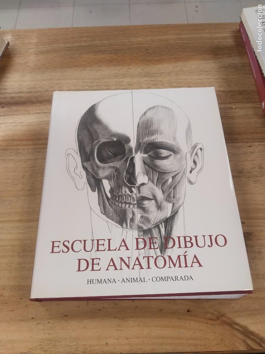 Libros de segunda mano: Escuela de Dibujo de Anatom&iacute;a - Andr&aacute;s Szunyoghy / Gy&ouml;rgy Feh&eacute;r