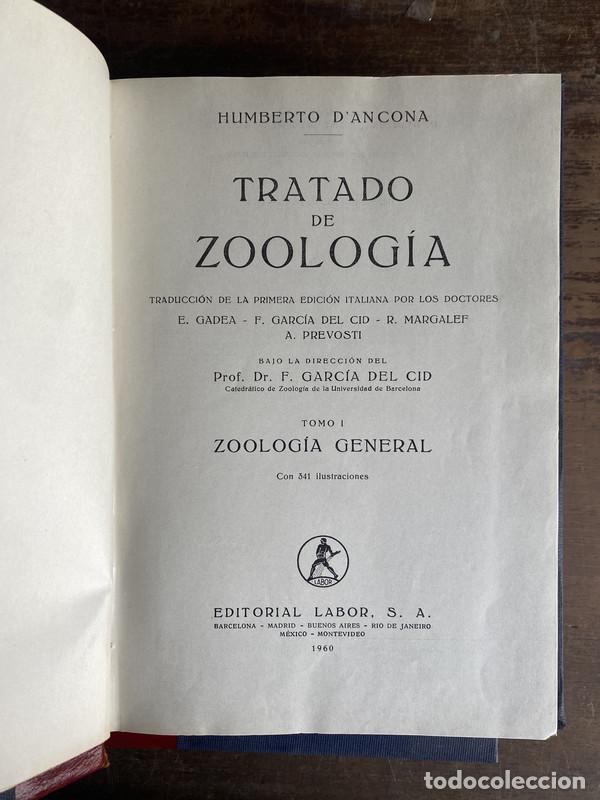 Libros de segunda mano: Tratado de Zoologia - D'Ancona Humberto