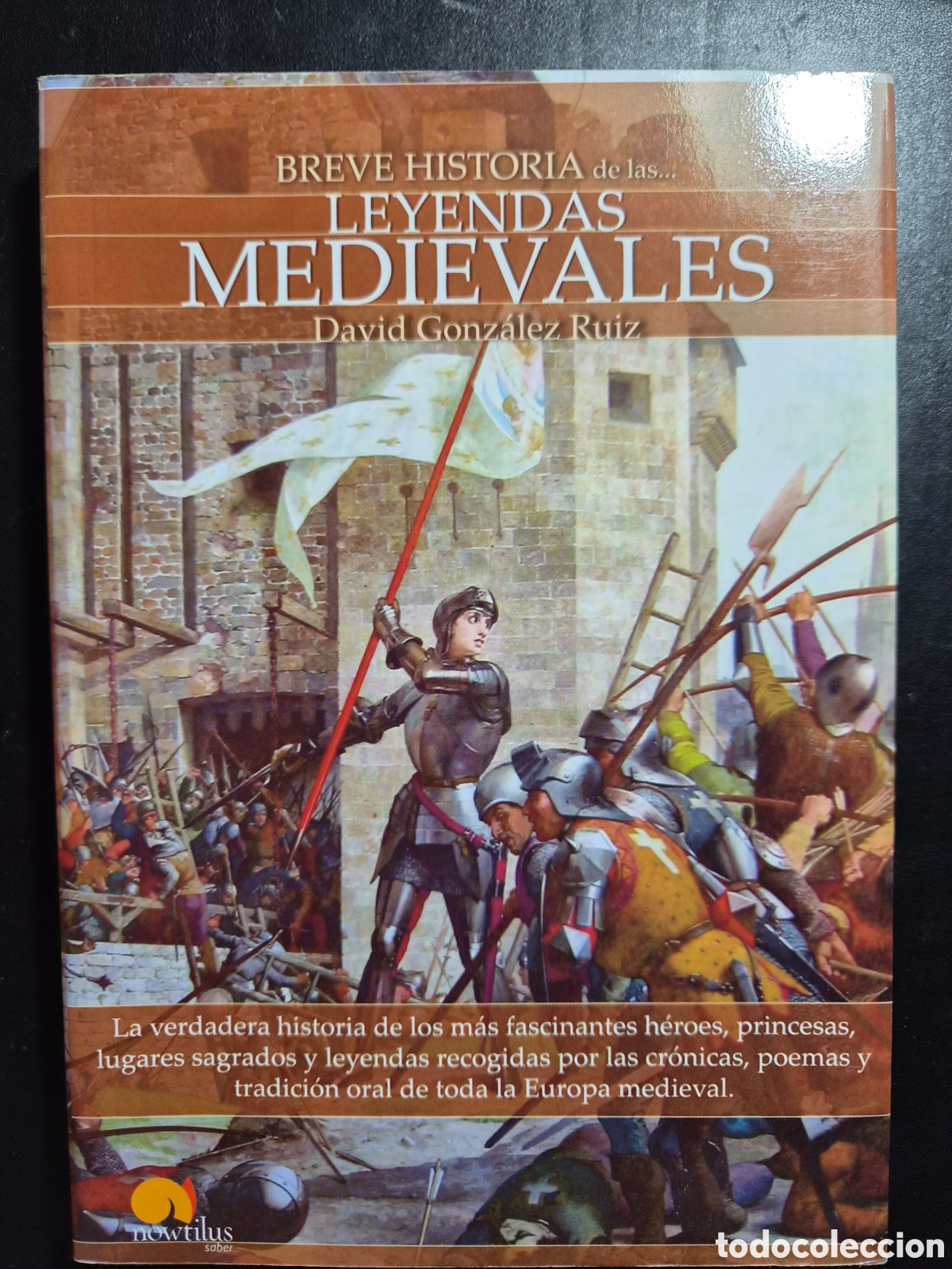 Libros de segunda mano: Breve historia de las leyendas medievales
