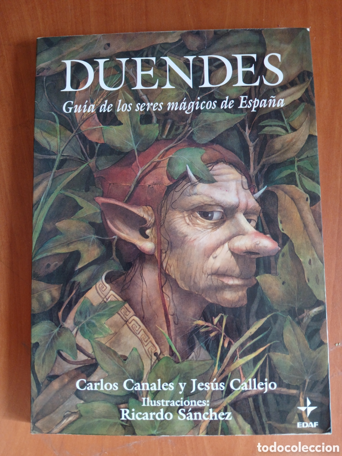 Libros de segunda mano: Duendes, Gu&iacute;a de los seres m&aacute;gicos de Espa&ntilde;a. Carlos Canales, Jes&uacute;s Calleja.