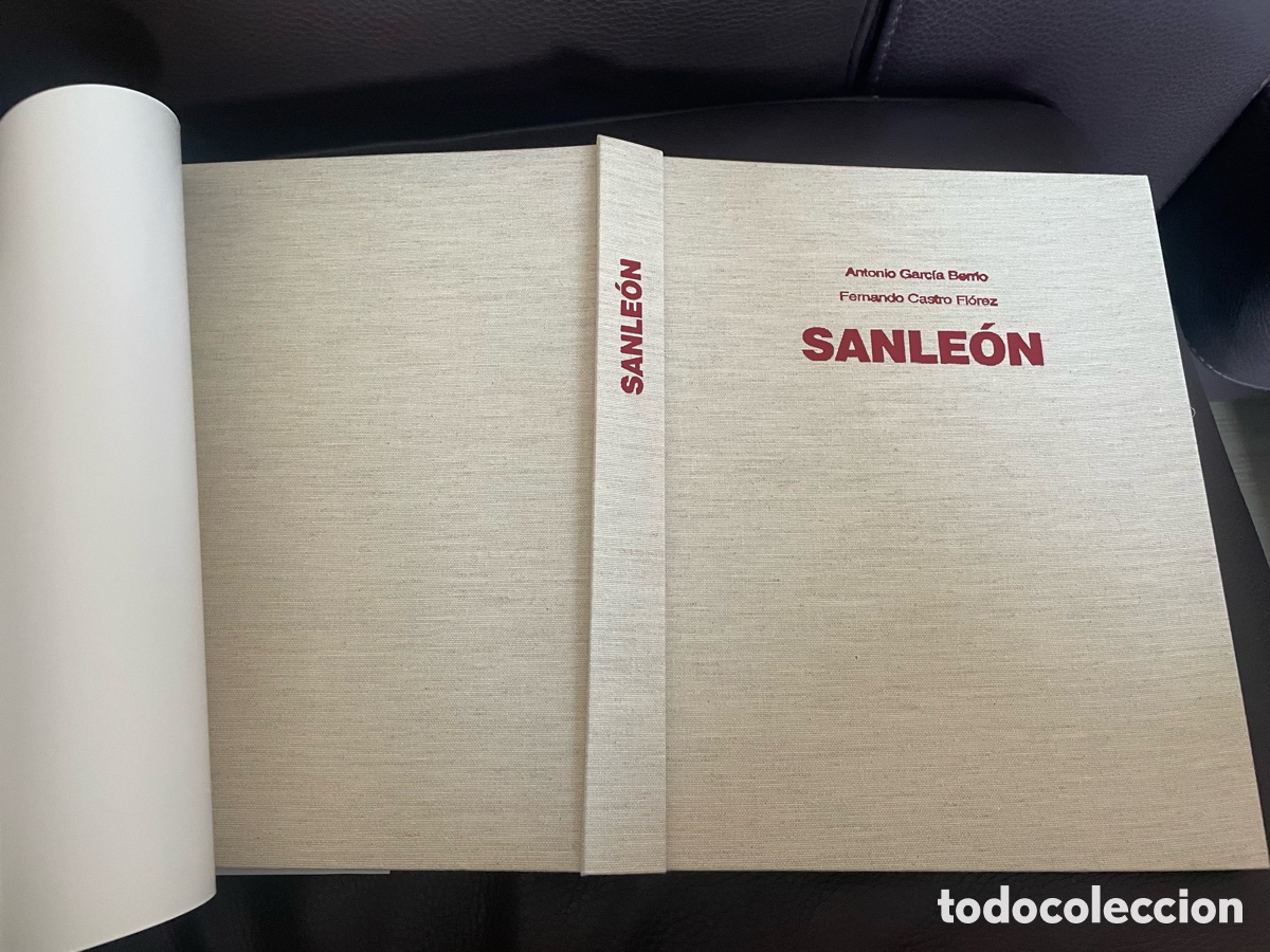 Libros de segunda mano: Sanle&oacute;n Monogr&aacute;fico sobre el artista - Foto 8