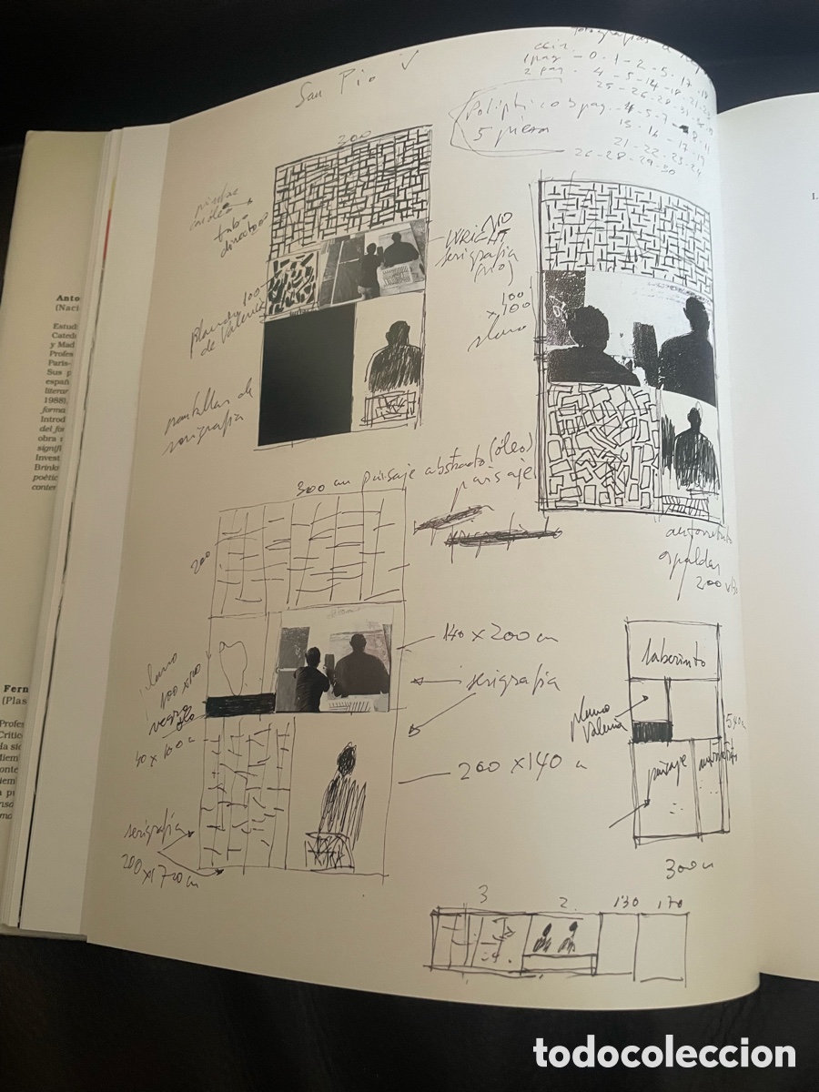 Libros de segunda mano: Sanle&oacute;n Monogr&aacute;fico sobre el artista - Foto 10