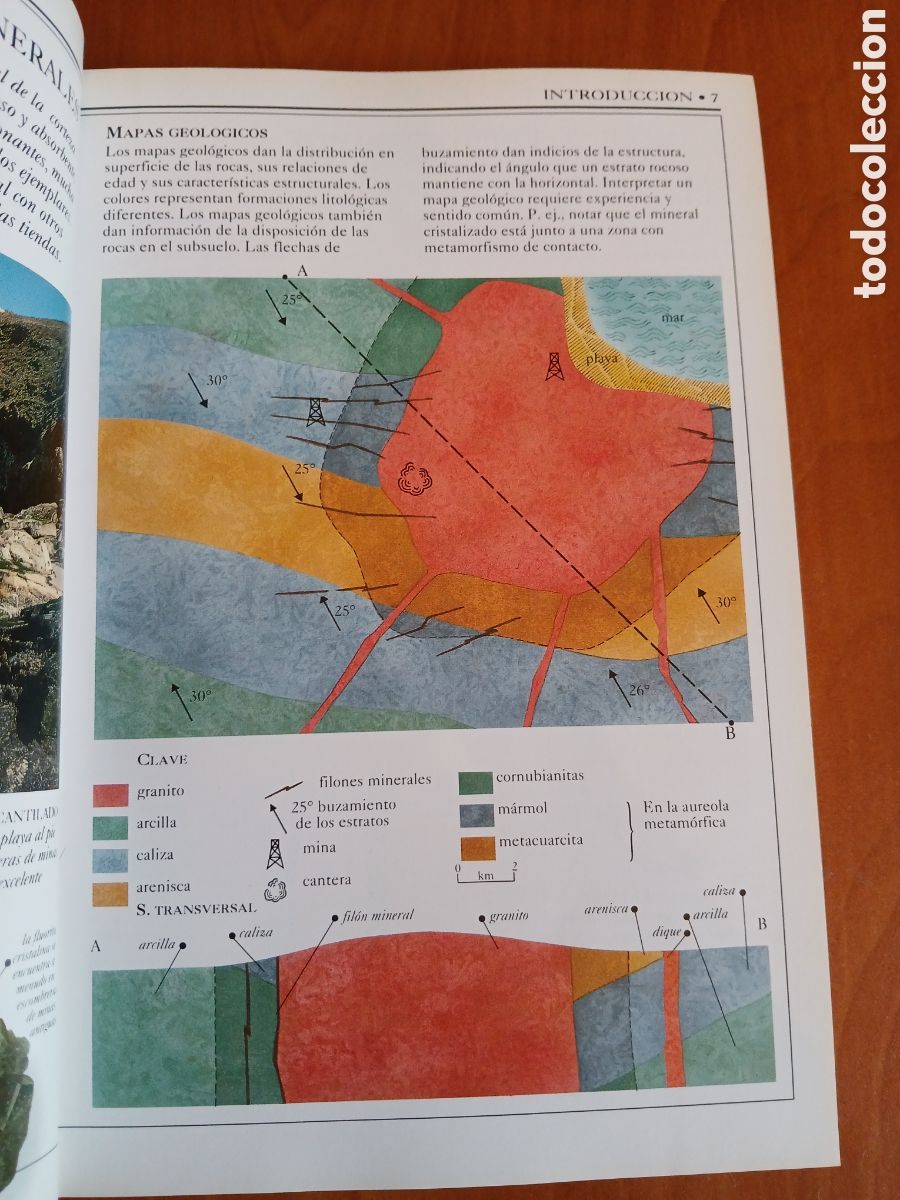 Libros de segunda mano: Rocas y minerales. Chris Pellant. - Foto 5