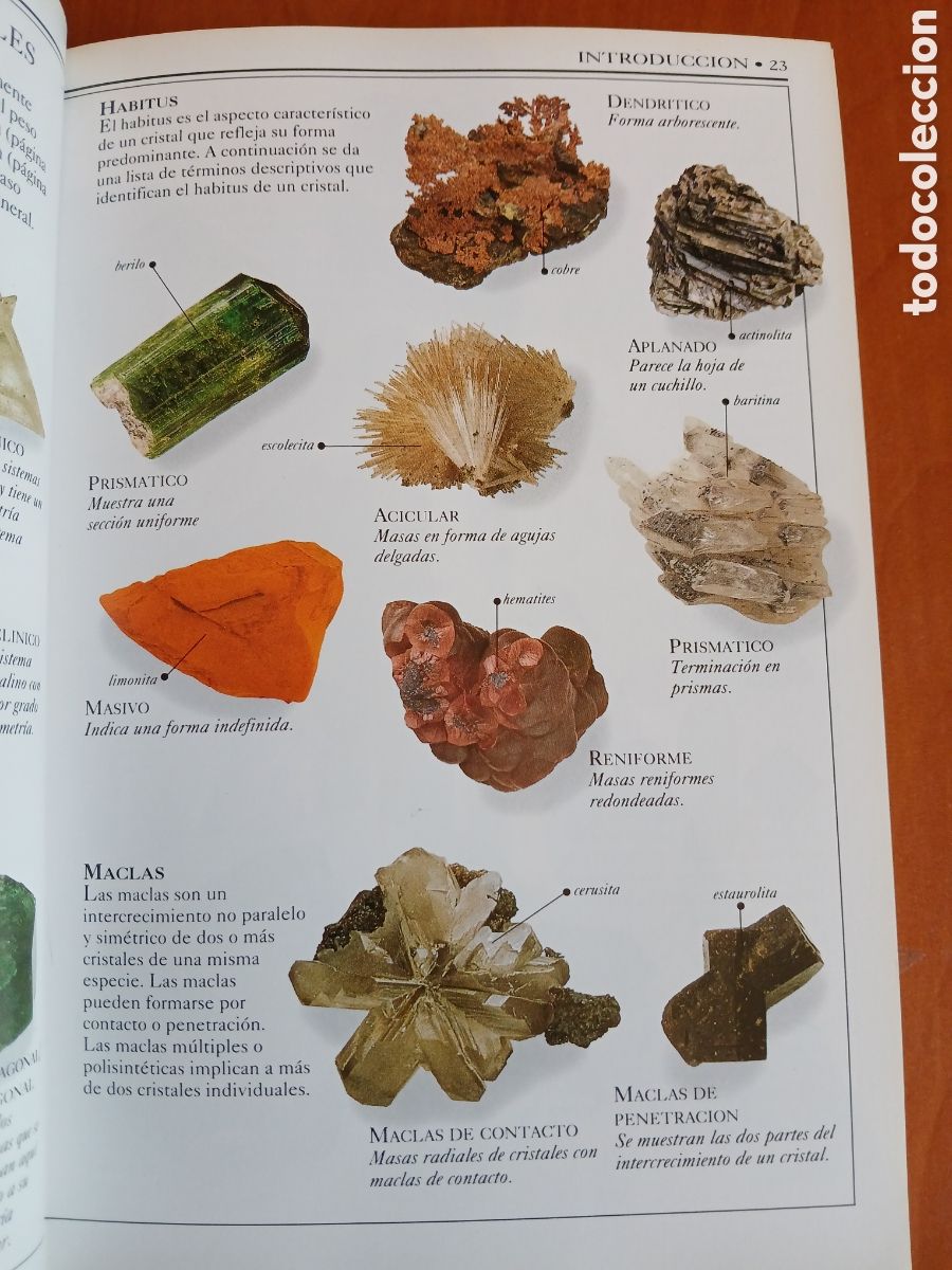 Libros de segunda mano: Rocas y minerales. Chris Pellant. - Foto 6