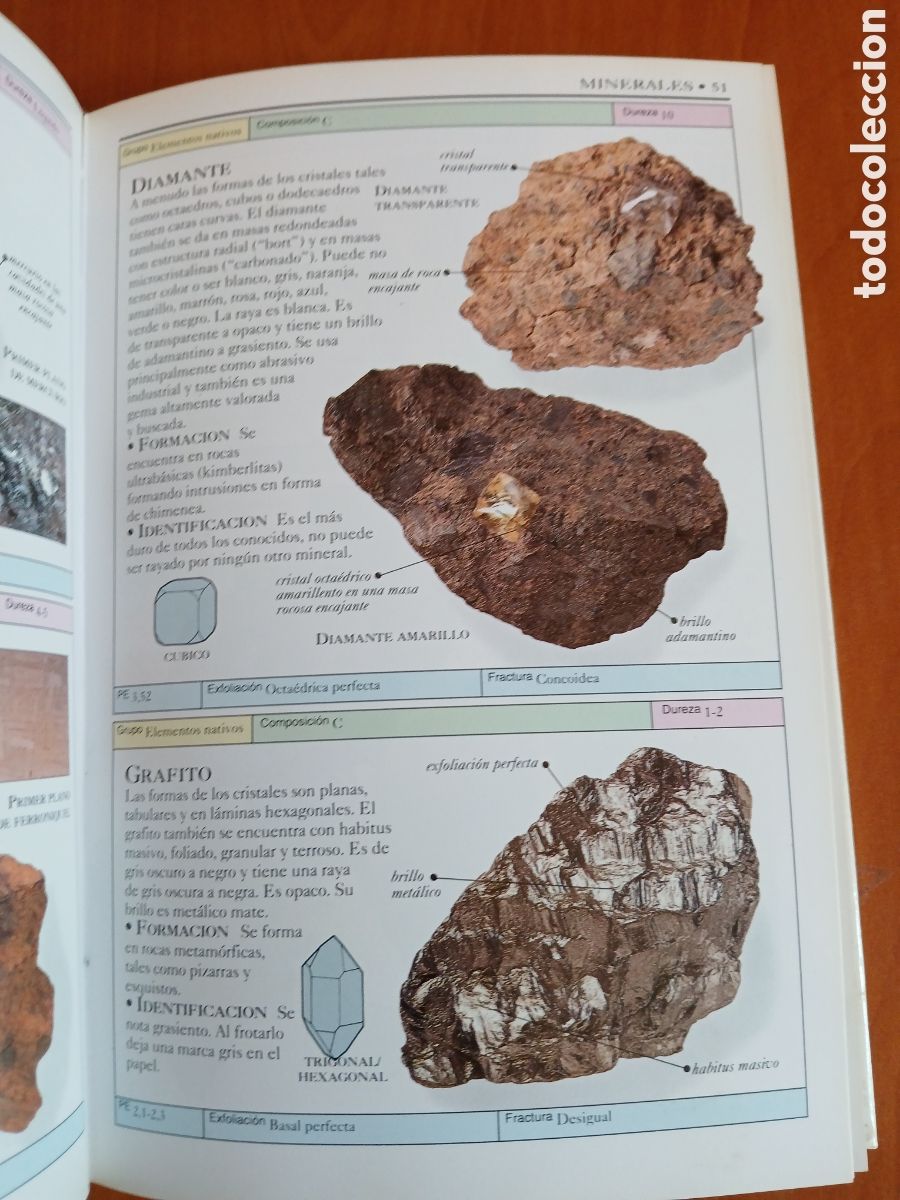 Libros de segunda mano: Rocas y minerales. Chris Pellant. - Foto 7