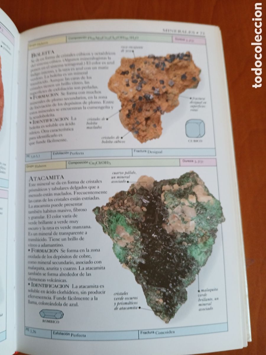 Libros de segunda mano: Rocas y minerales. Chris Pellant. - Foto 8