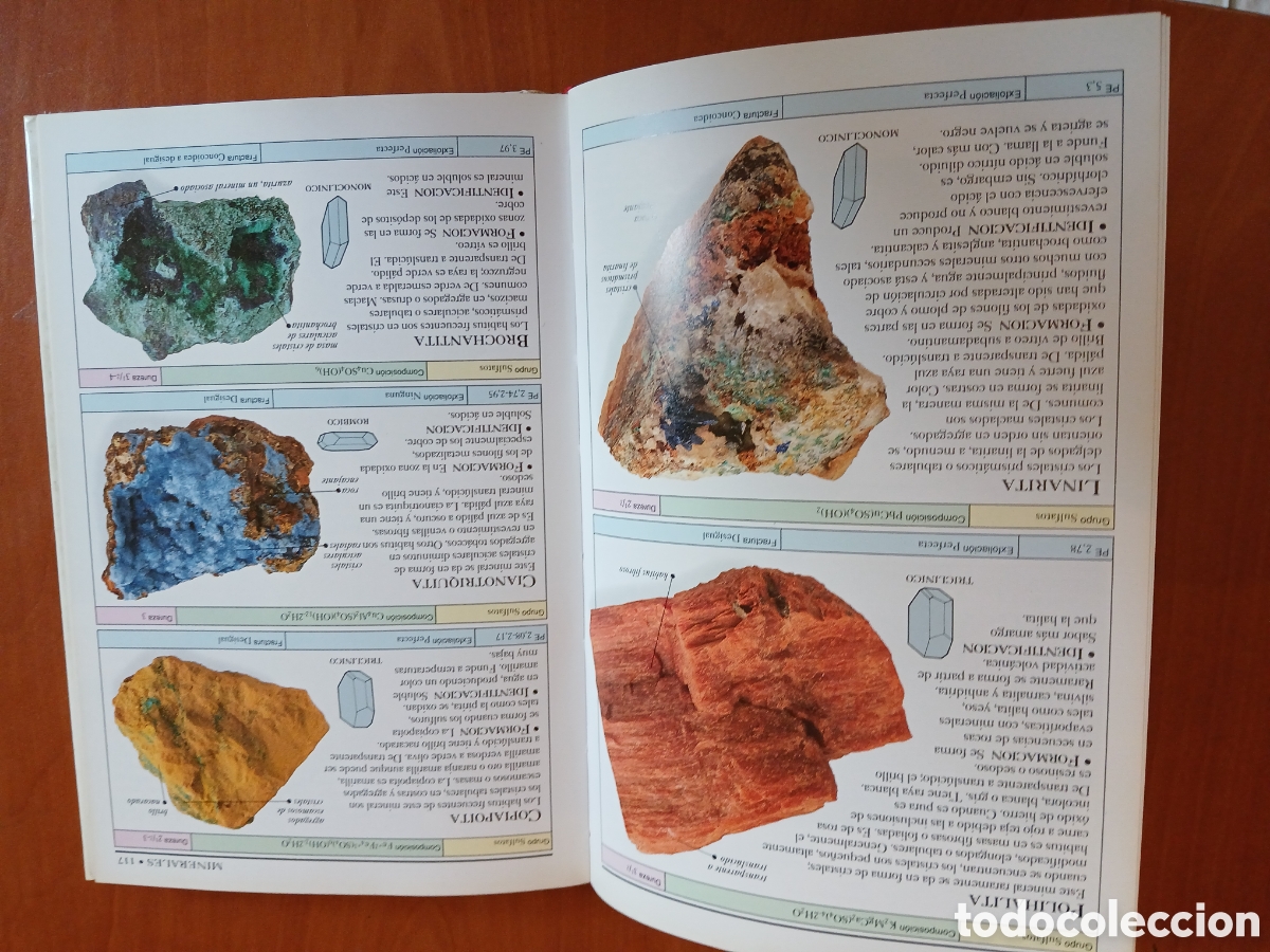 Libros de segunda mano: Rocas y minerales. Chris Pellant. - Foto 9