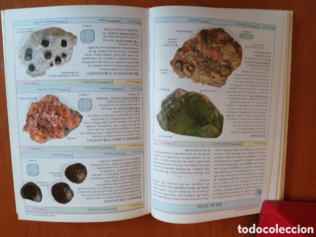 Libros de segunda mano: Rocas y minerales. Chris Pellant. - Foto 10