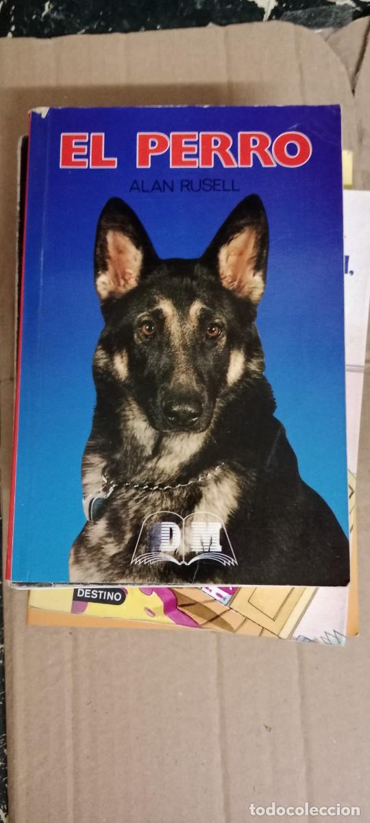 Libros de segunda mano: EL PERRO LIBRO E-SAN