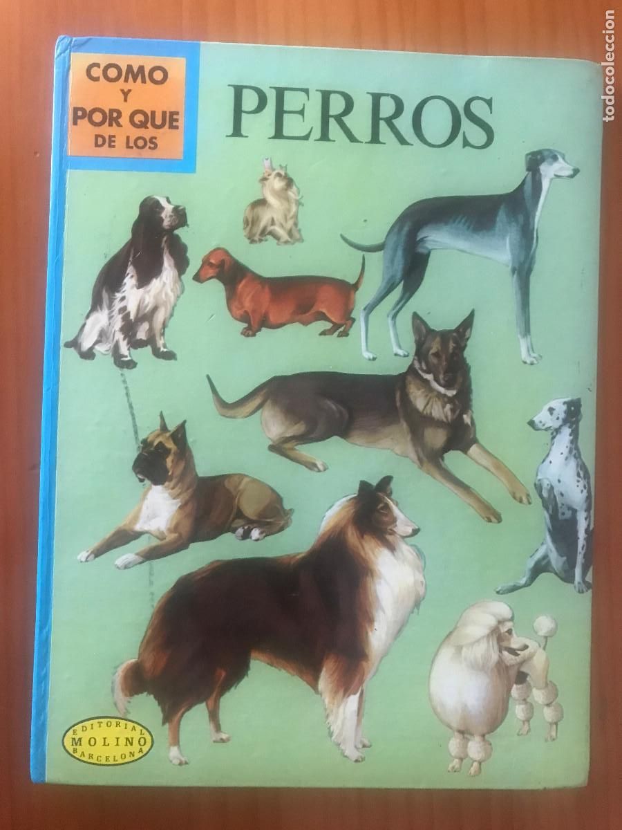 Libros de segunda mano: C&oacute;mo y porqu&eacute; de los perro. Editorial Molino