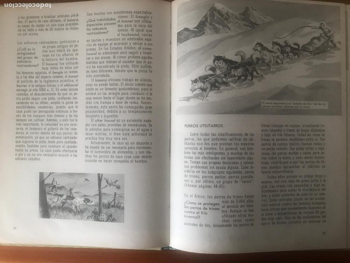 Libros de segunda mano: C&oacute;mo y porqu&eacute; de los perro. Editorial Molino - Foto 3