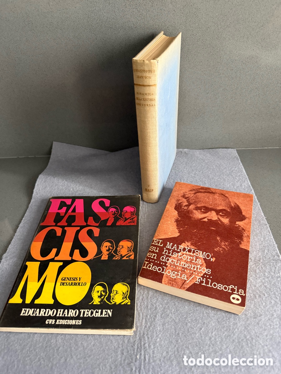 Libros de segunda mano: LOTE LIBROS HISTORIA COMUNISMO FASCISMO MARXISMO MARX ED. RIALP - DIN&Aacute;MICA DE LA HISTORIA