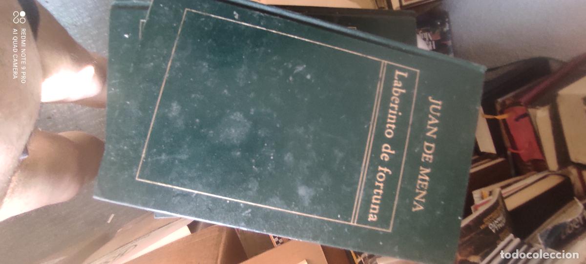 Livres d'occasion: Juan de Mena. Laberinto de fortuna. (Historia de la Literatura Espa&ntilde;ola). - Orbis