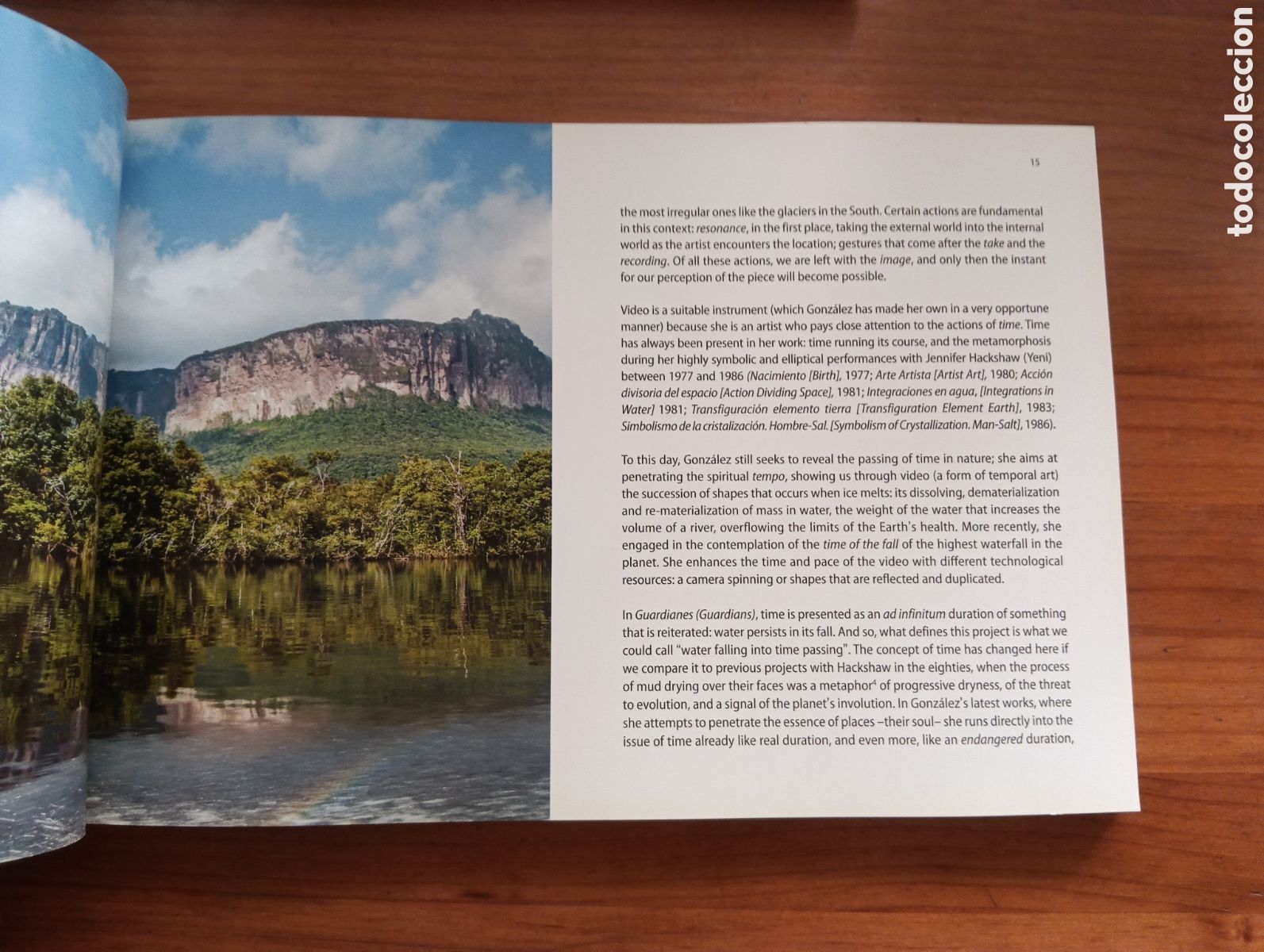 Libros de segunda mano: Nan Gonz&aacute;lez, Guardianes - Foto 2