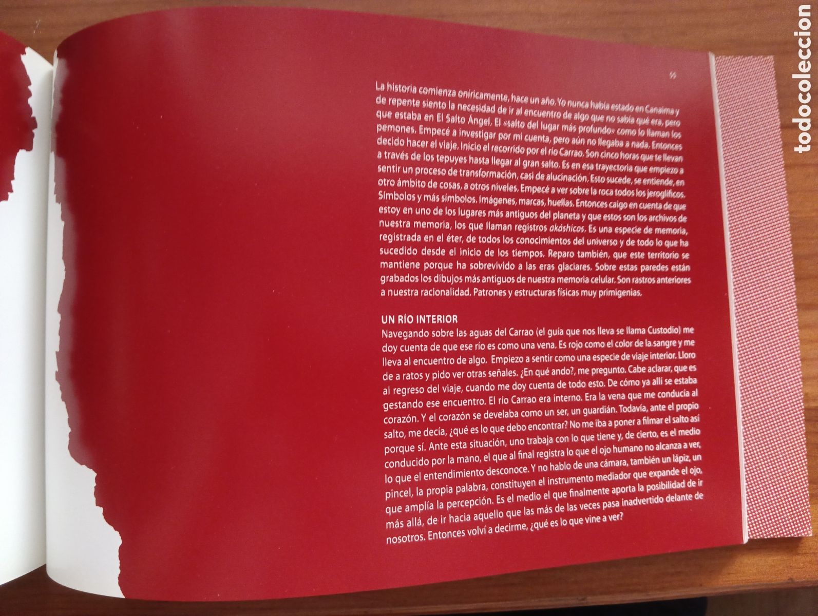 Libros de segunda mano: Nan Gonz&aacute;lez, Guardianes - Foto 4