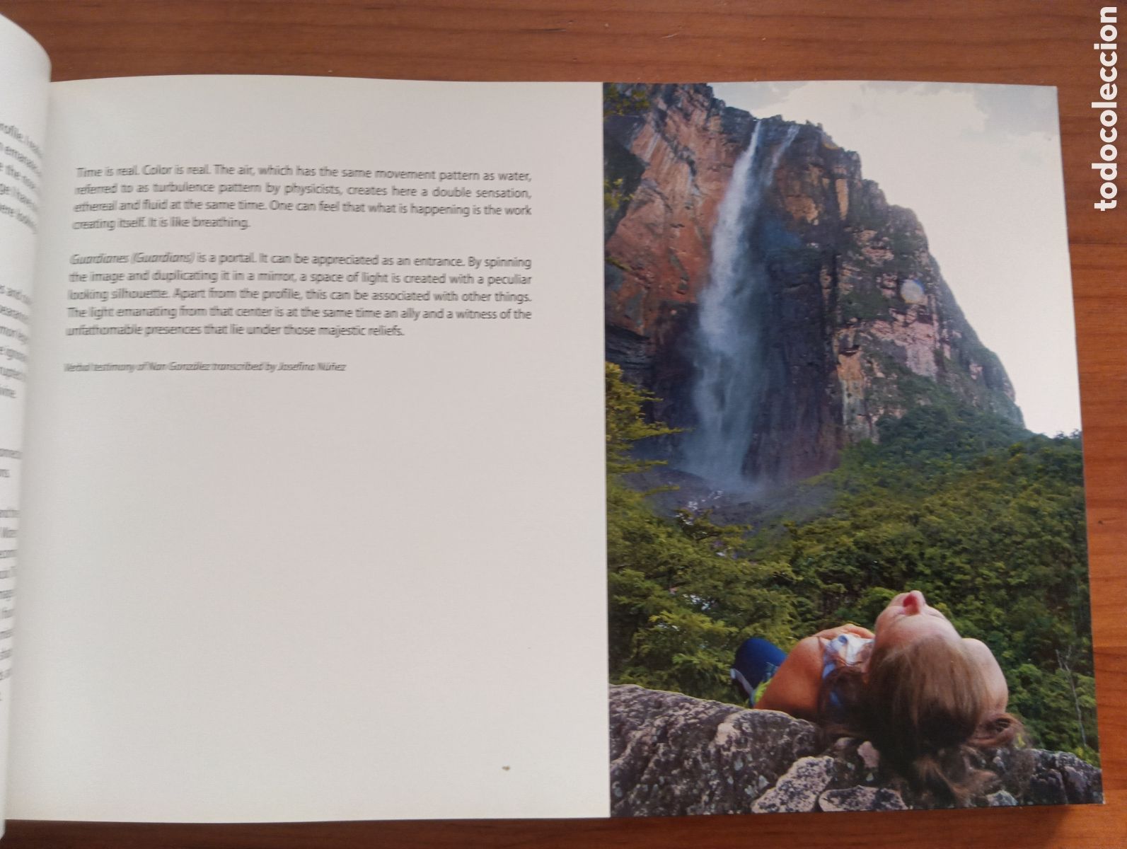 Libros de segunda mano: Nan Gonz&aacute;lez, Guardianes - Foto 5