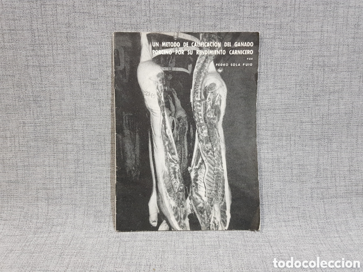 Libros de segunda mano: N⁰64 PUBLICACI&Oacute;N DE LA OBRA SOCIAL AGR&Iacute;COLA CAJA CATALU&Ntilde;A Y BALEARES. CALIFICACI&Oacute;N GANADO PORCINO.