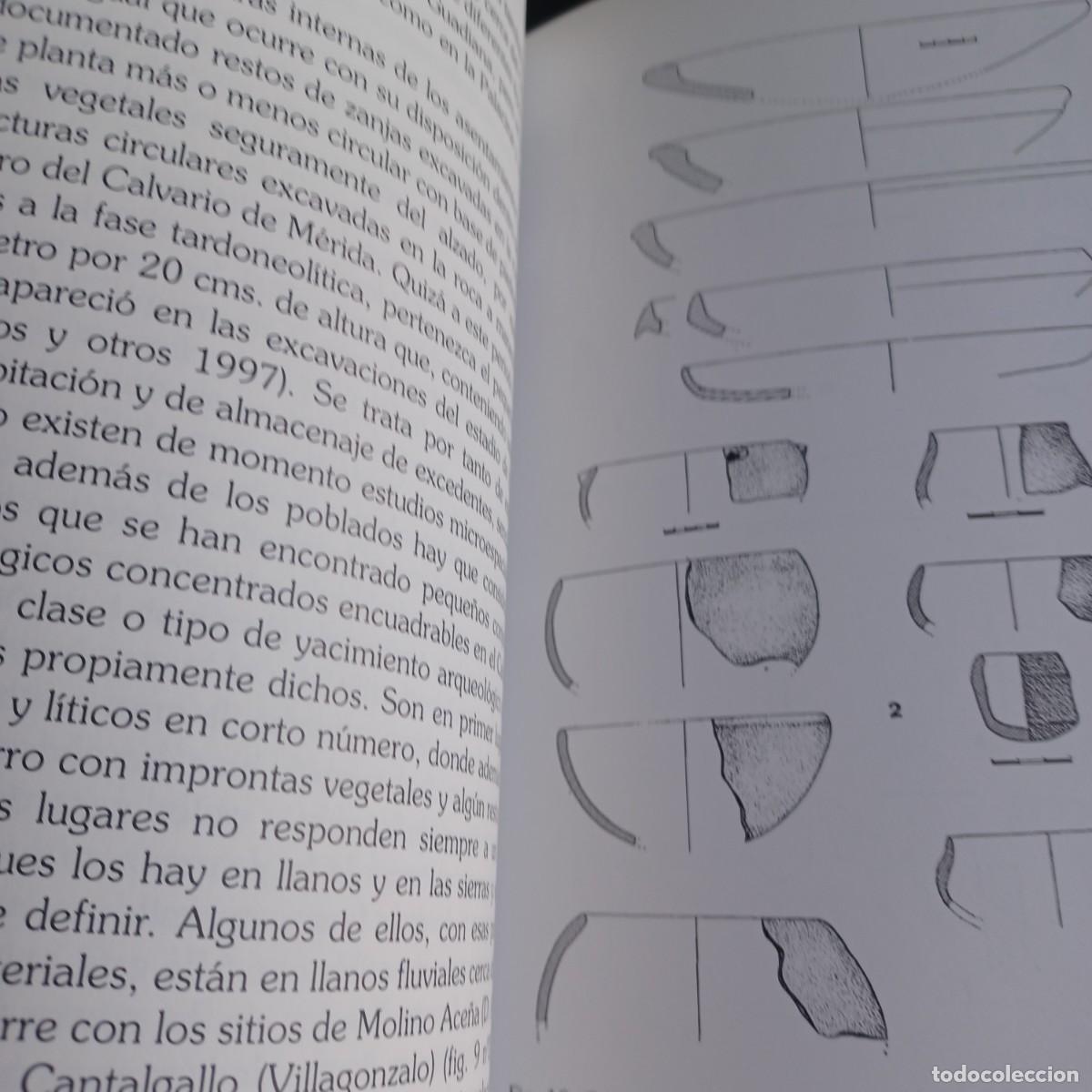Libros de segunda mano: Prehistoria de M&eacute;rida. Juan Javier Enriquez Navascu&eacute;s - Foto 3