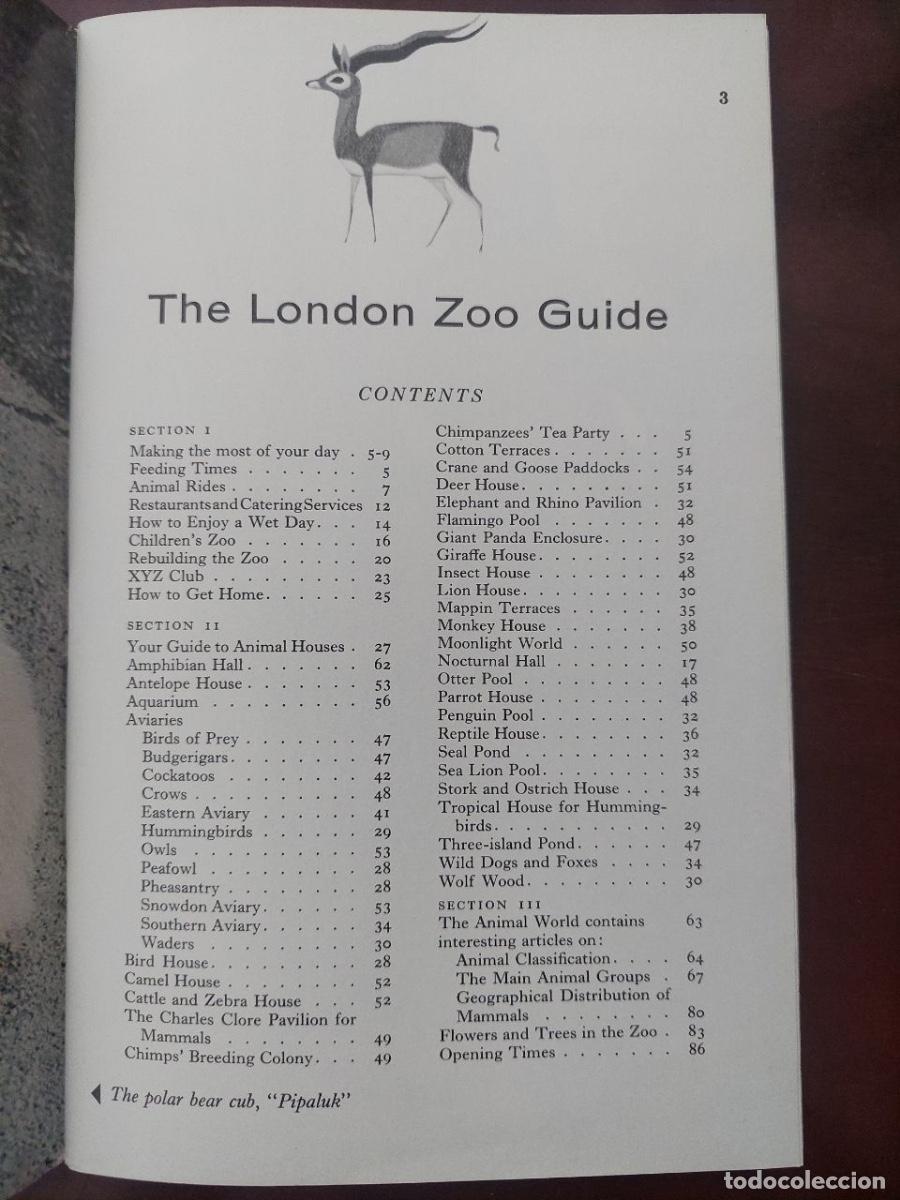 Libros de segunda mano: London Zoo Guide. 1971 - Foto 2