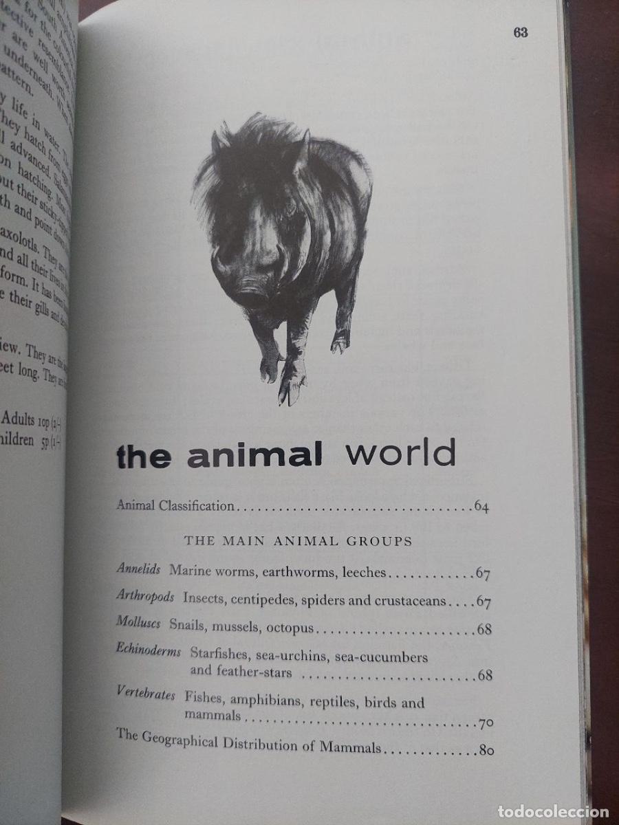Libros de segunda mano: London Zoo Guide. 1971 - Foto 3