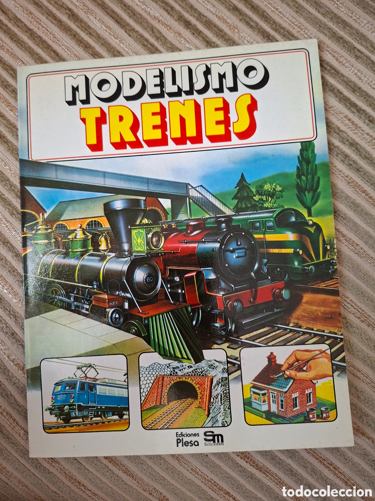 Libros de segunda mano: MODELISMO TRENES (guias de modelismo)