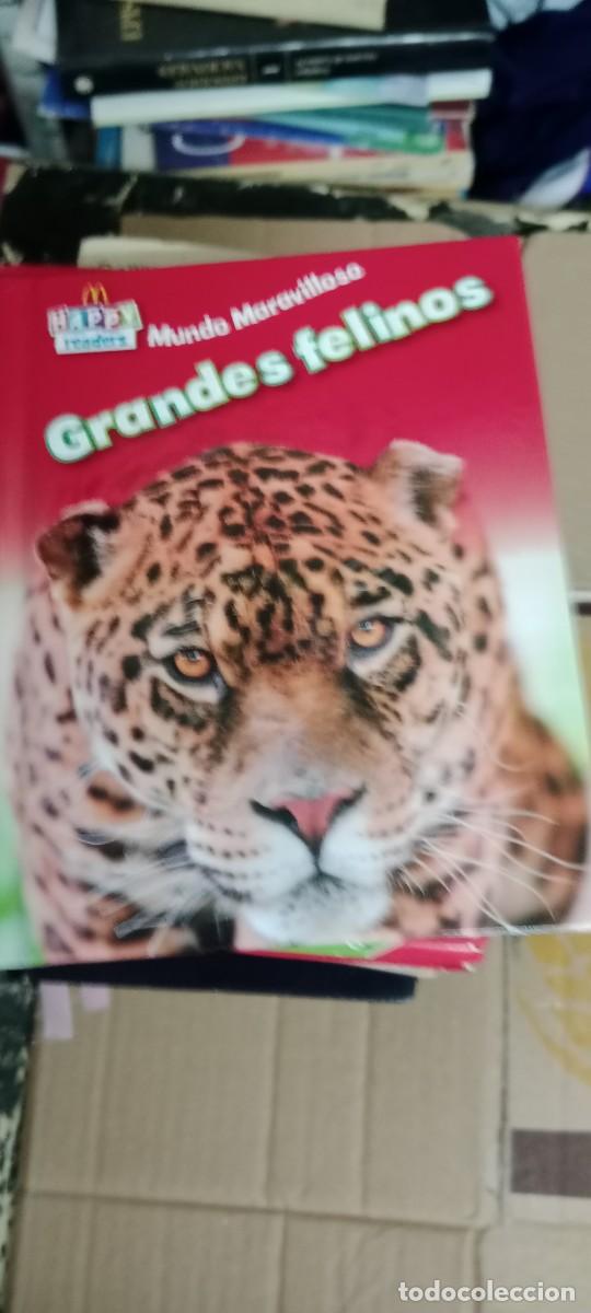 Libros de segunda mano: GRANDES FELINOS LIBRO TOP-17