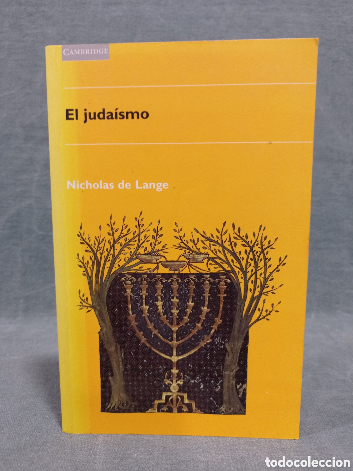 Libros de segunda mano: EL JUDA&Iacute;SMO - NICHOLAS DE LANGE - ED. CAMBRIDGE UNIVERSITY PRESS