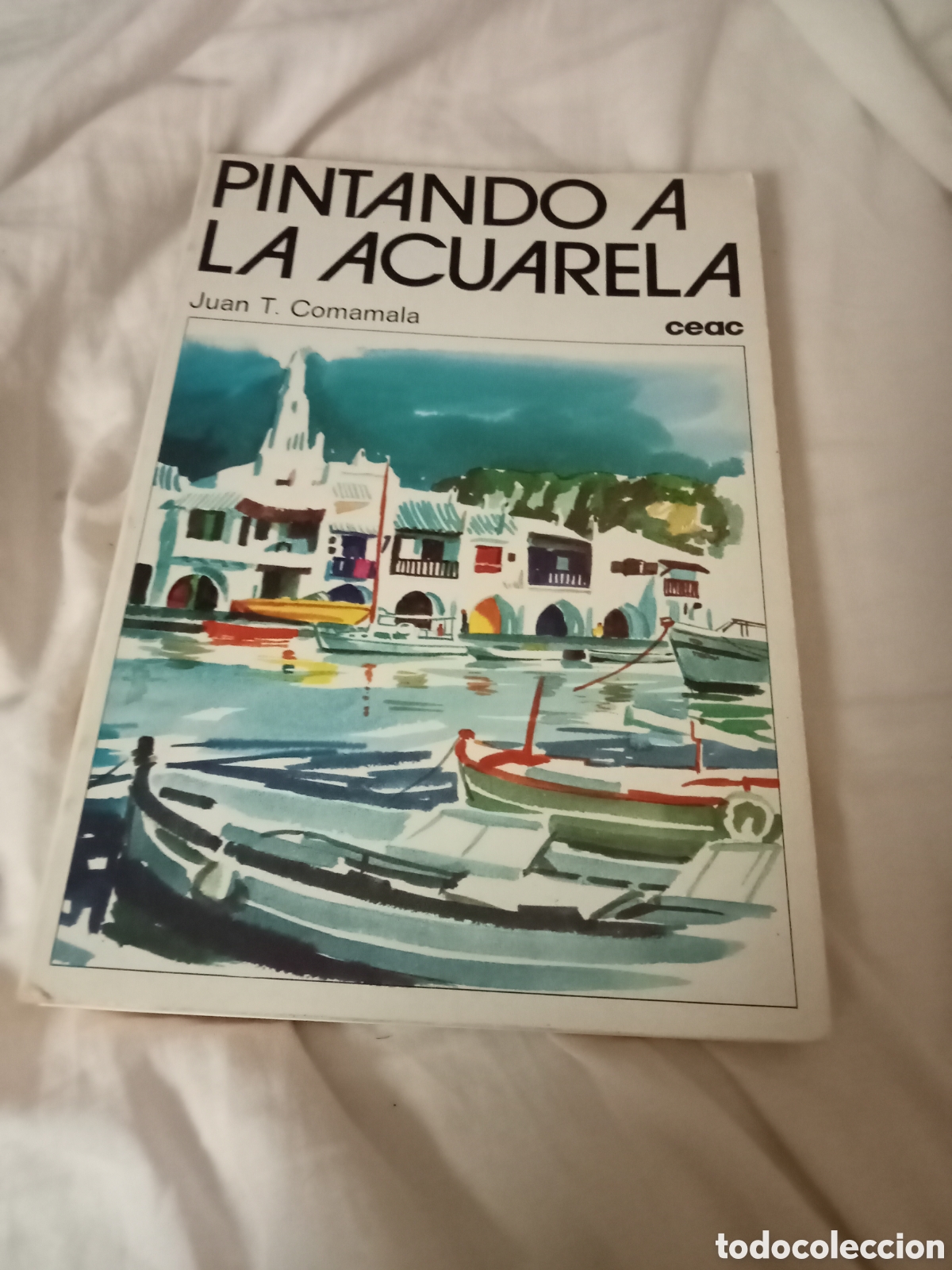 Libros de segunda mano: Pintando a la acuarela manuales ceac
