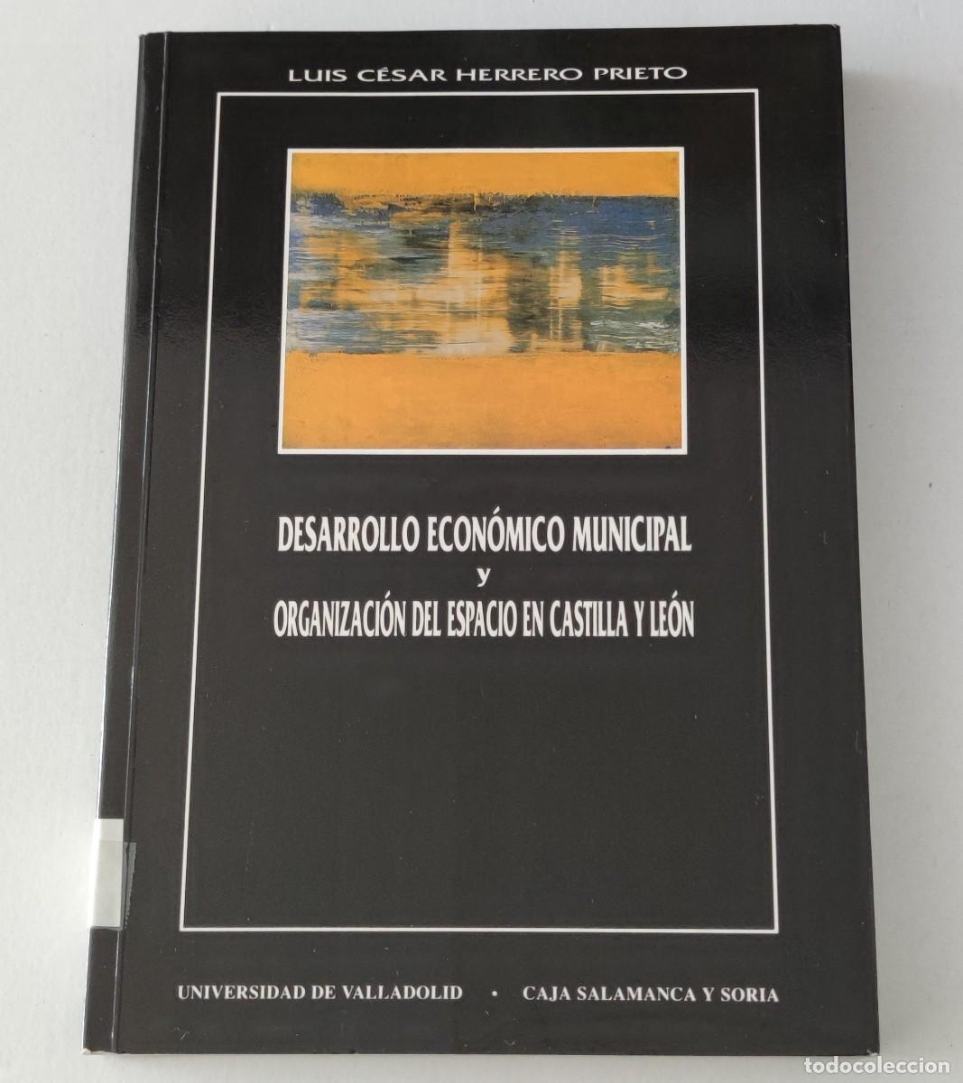 Libros de segunda mano: DESARROLLO ECON&Oacute;MICO MUNICIPAL Y ORGANIZACI&Oacute;N DEL ESPACIO EN CASTILLA Y LE&Oacute;N