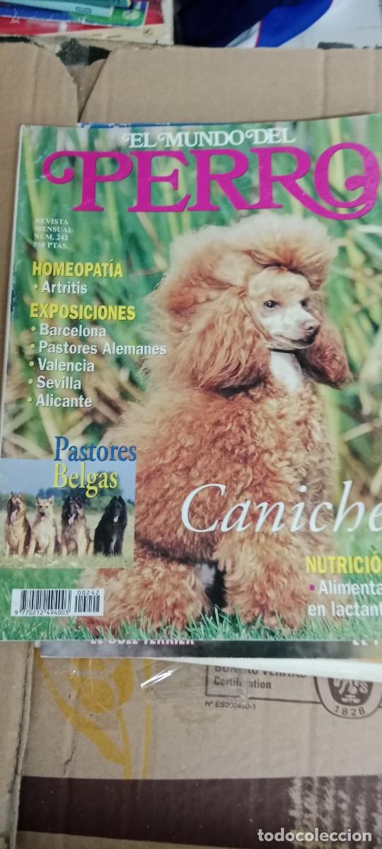 Libros de segunda mano: EL MUNDO DEL PERRO LA DE FOTO REVISTA M-CAR