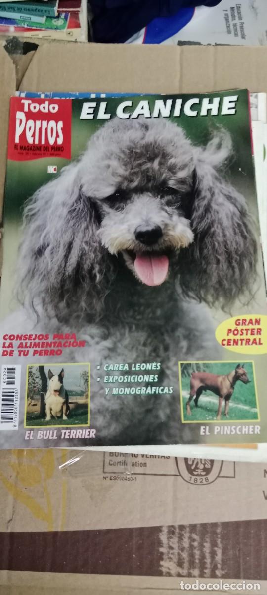 Libros de segunda mano: TODO PERROS EL CANICHE LA DE FOTO REVISTA M-CAR