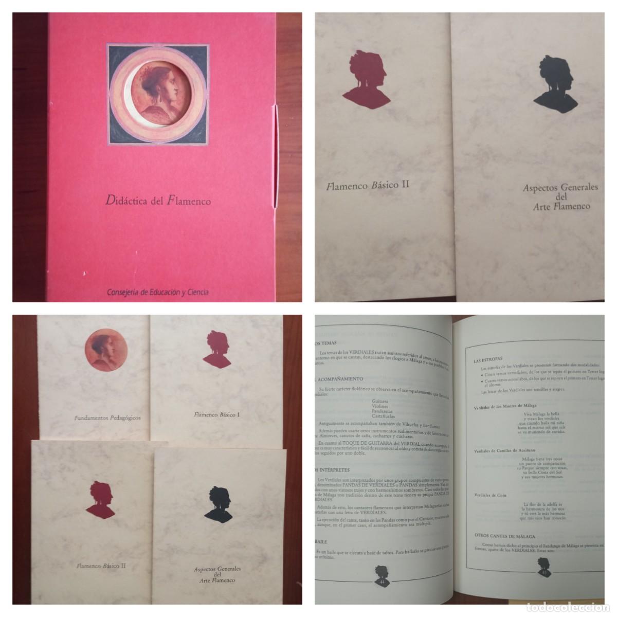 Libros de segunda mano: DIDACTICA DEL FLAMENCO TODO LO QUE VES EN SU CARPETA 31 CMS 1 KILO LG45