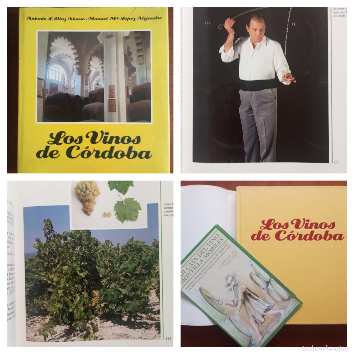 Libros de segunda mano: LOS VINOS DE CORDOBA ANTONIO L DIAZ ALONSO ENOLOGIA LIBRO 198PGS LG45