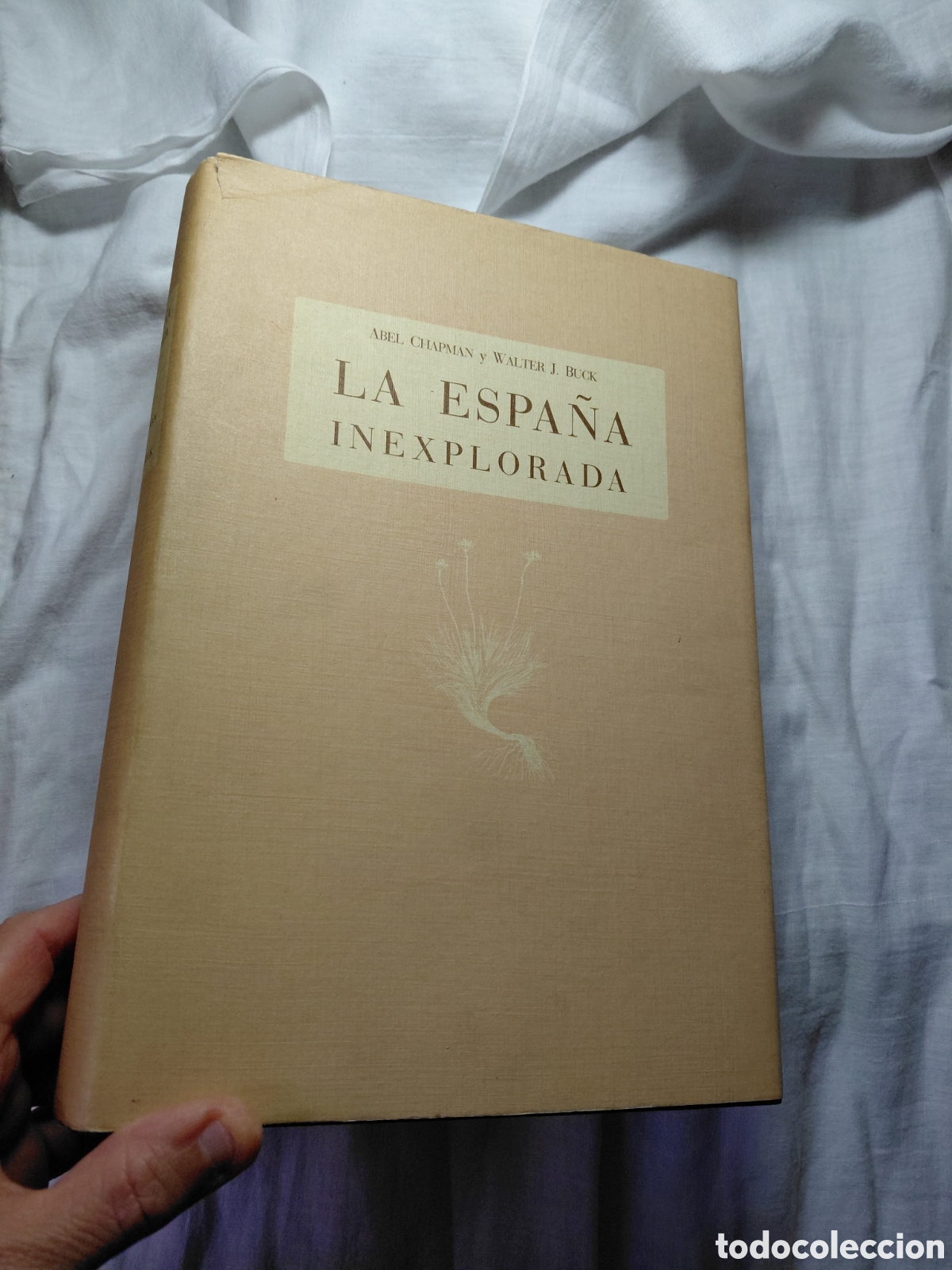 Libros de segunda mano: LA ESPA&Ntilde;A INEXPLORADA.ABEL CHAPMAN Y WALTER J.BUCK.SEVILLA 1989