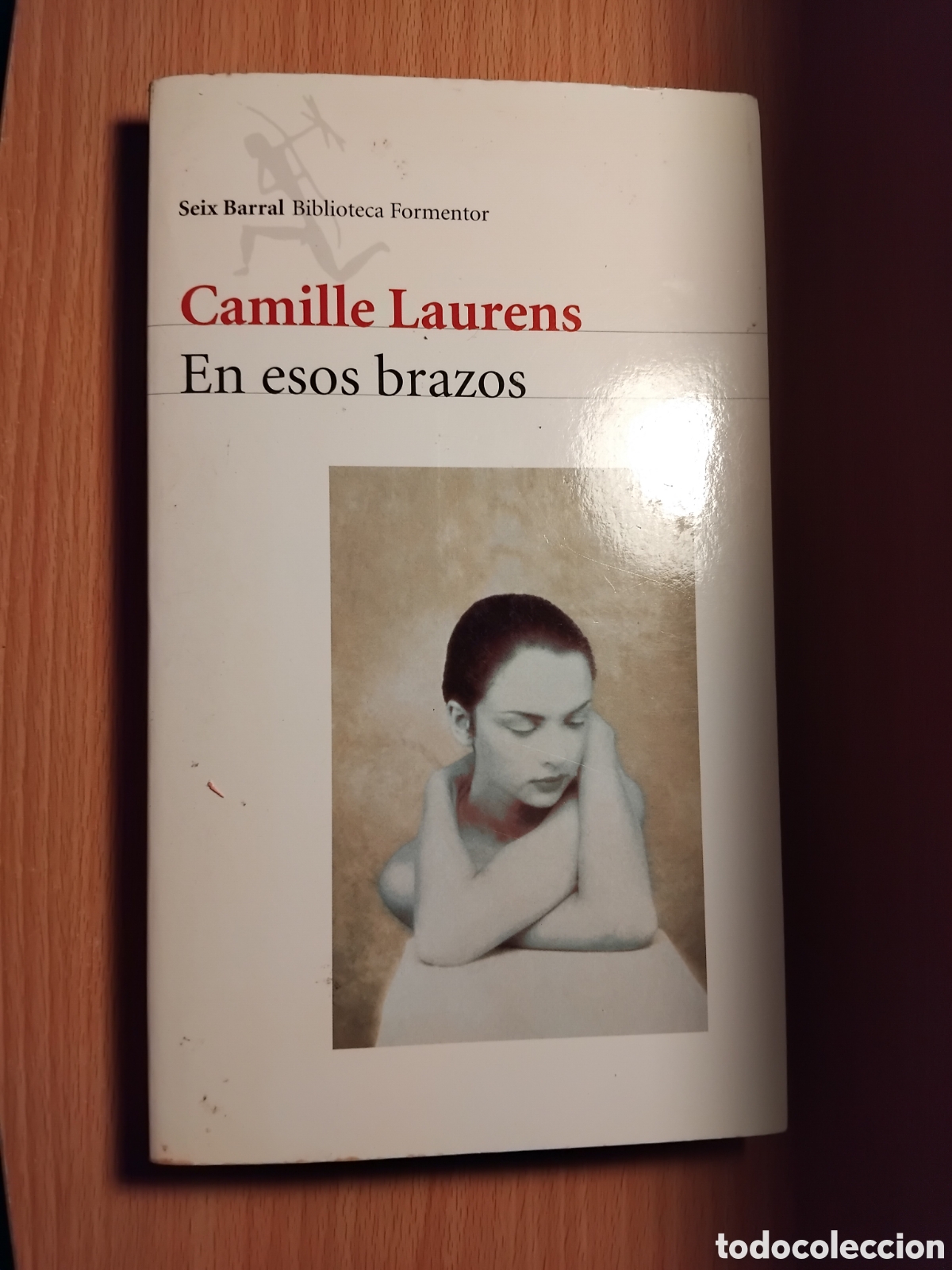 Libros de segunda mano: En esos brazos;Camille Laurens;Seix Barral;2001