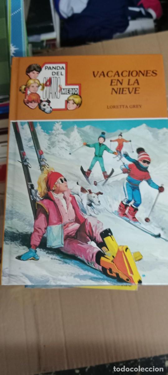 Gebrauchte B&uuml;cher: PANDA DEL CUATRO Y MEDIO - VACACIONES EN LA NIEVE - LORETTA GREY -LIBRO G-XTI39