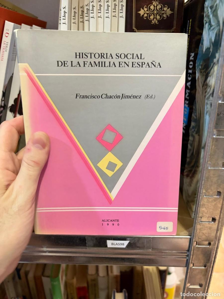 Libros de segunda mano: BLAS98 Historia social de la familia en Espa&ntilde;a &mdash; Francisco Chac&oacute;n Jim&eacute;nez (ed.) &mdash; Instituto de Cultu