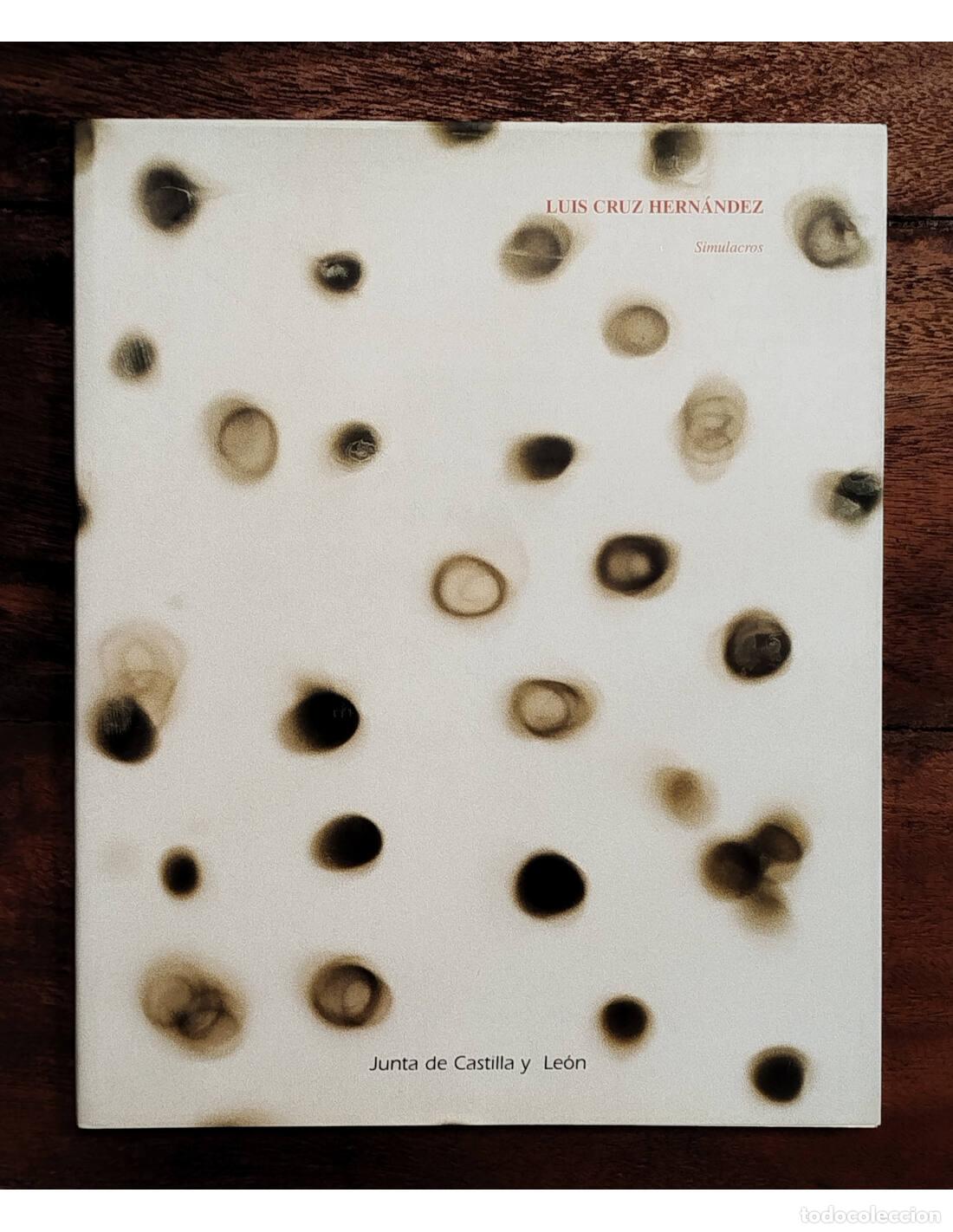 Livres d'occasion: SIMULACROS. CRUZ HERN&Aacute;NDEZ, Luis. Junta de Castilla y Le&oacute;n. 2000.
