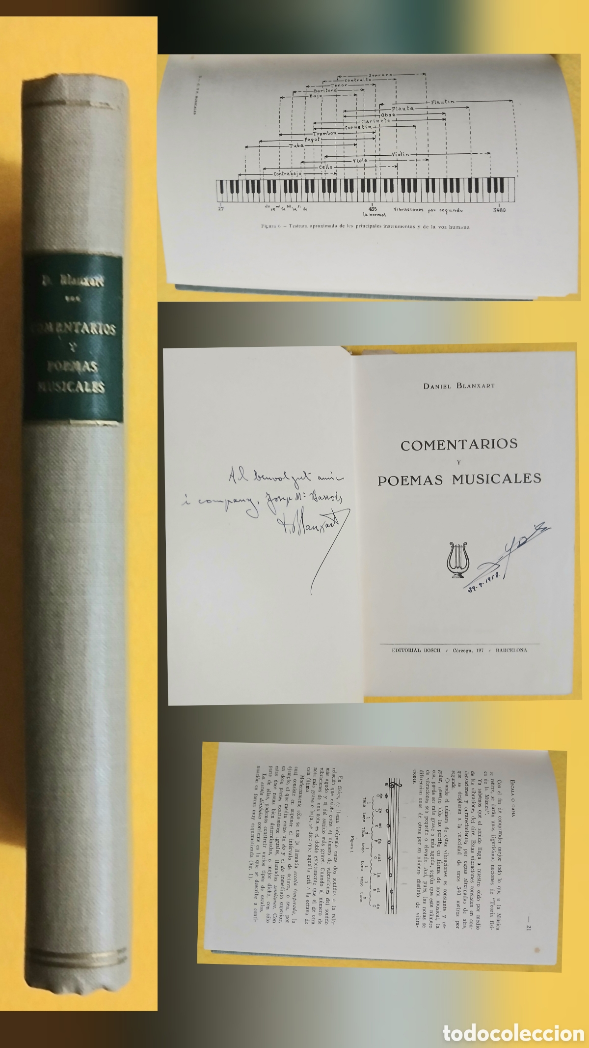 Libros de segunda mano: comentarios y poemas musicales Daniel Blanxart